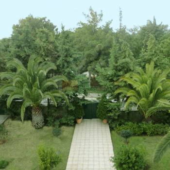 Κήπος - Garden